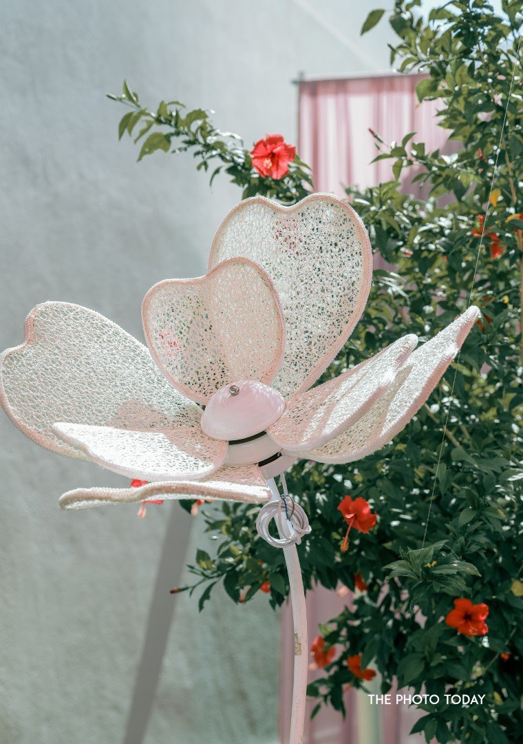 Himma Shree-Mehandi-9