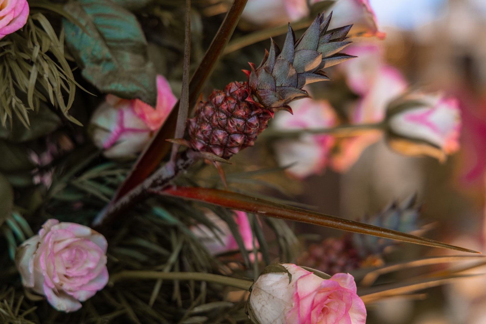 MAYA- The Magical Garden (12)