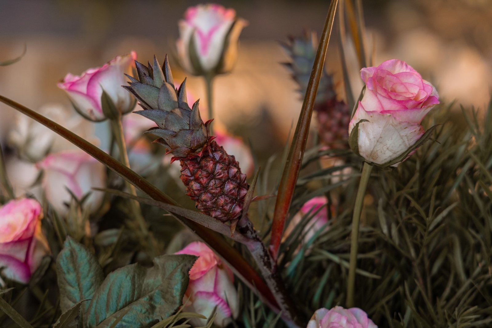 MAYA- The Magical Garden (13)