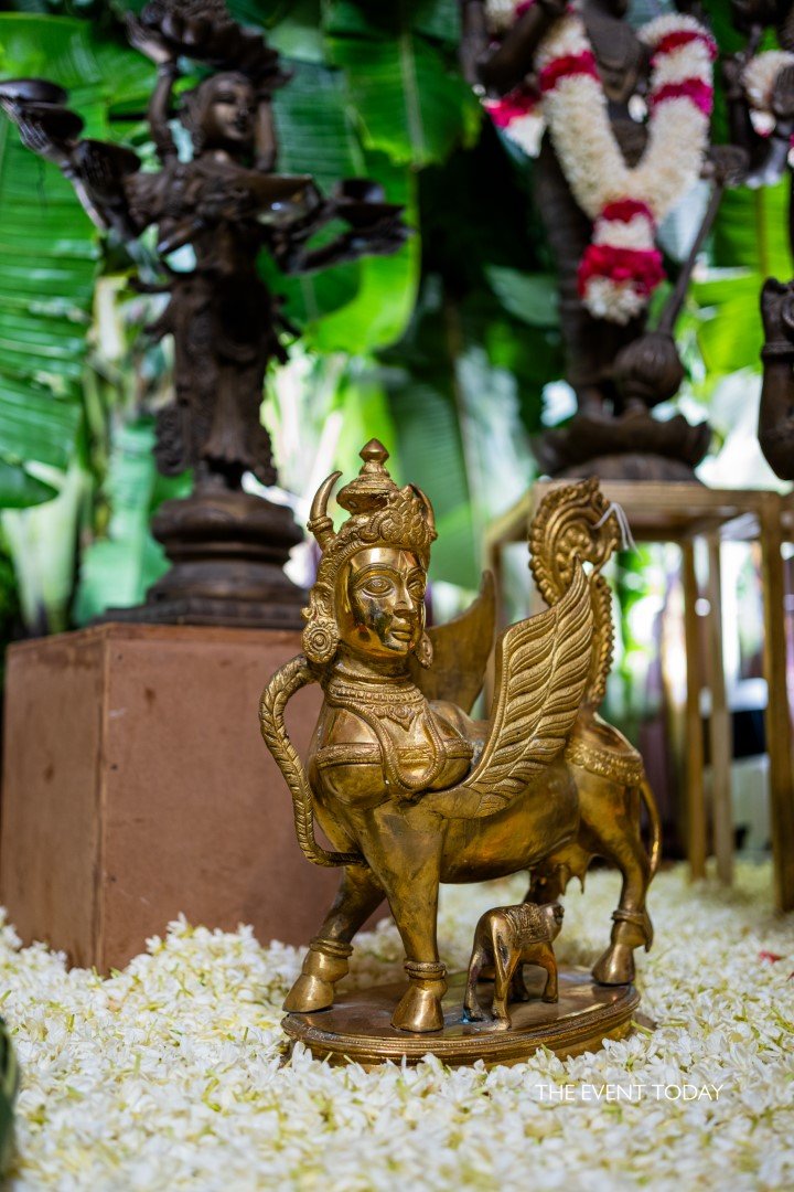 PAARAMBARIYA ANIKALAN (25)