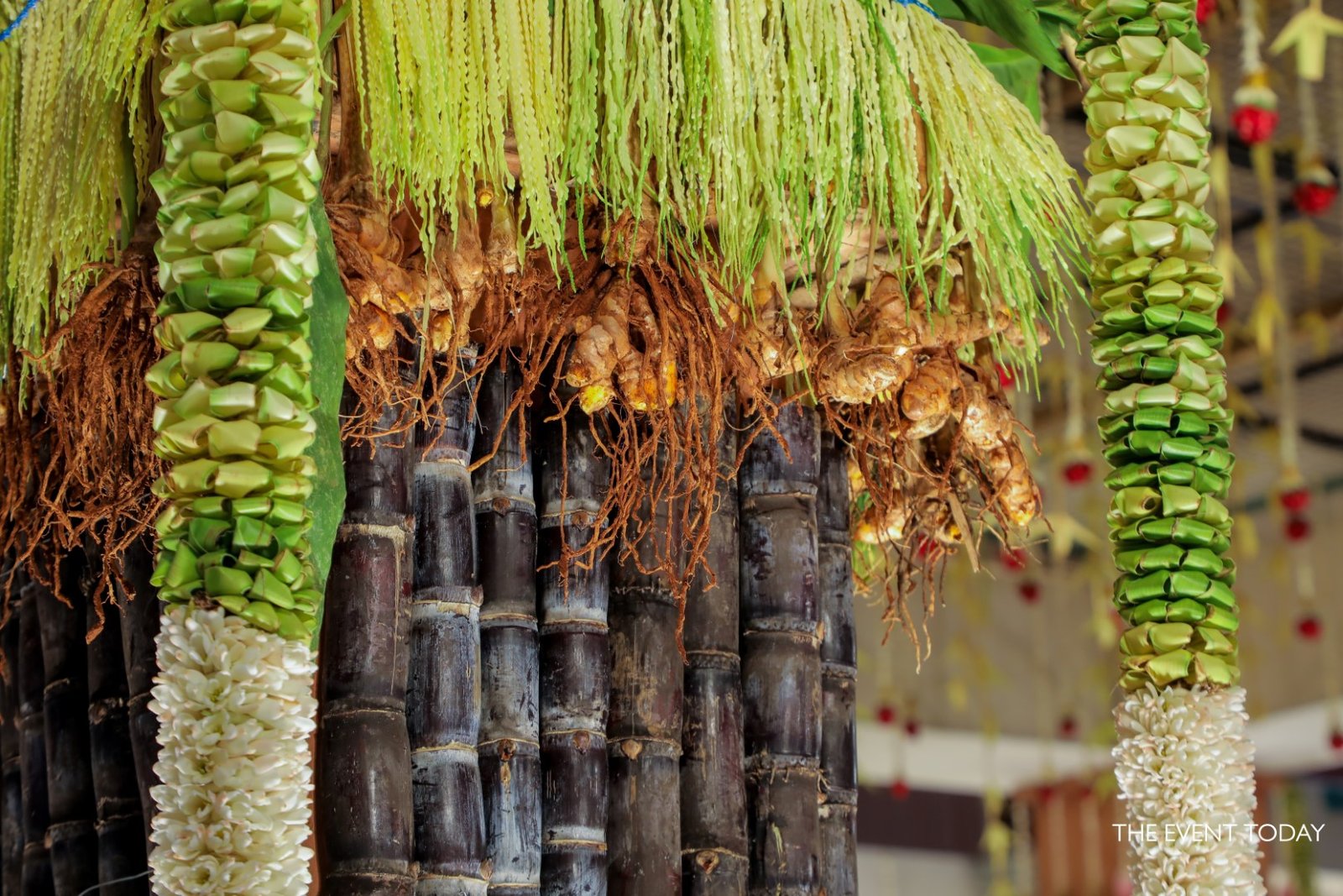 garden of chrysants - wedding (2)