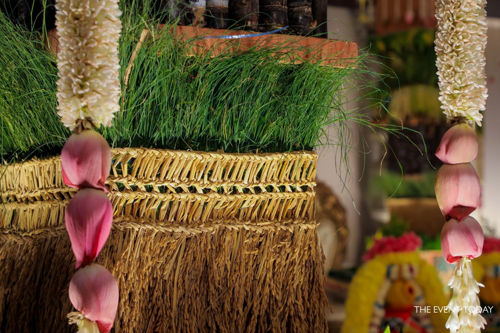 garden of chrysants - wedding (3)