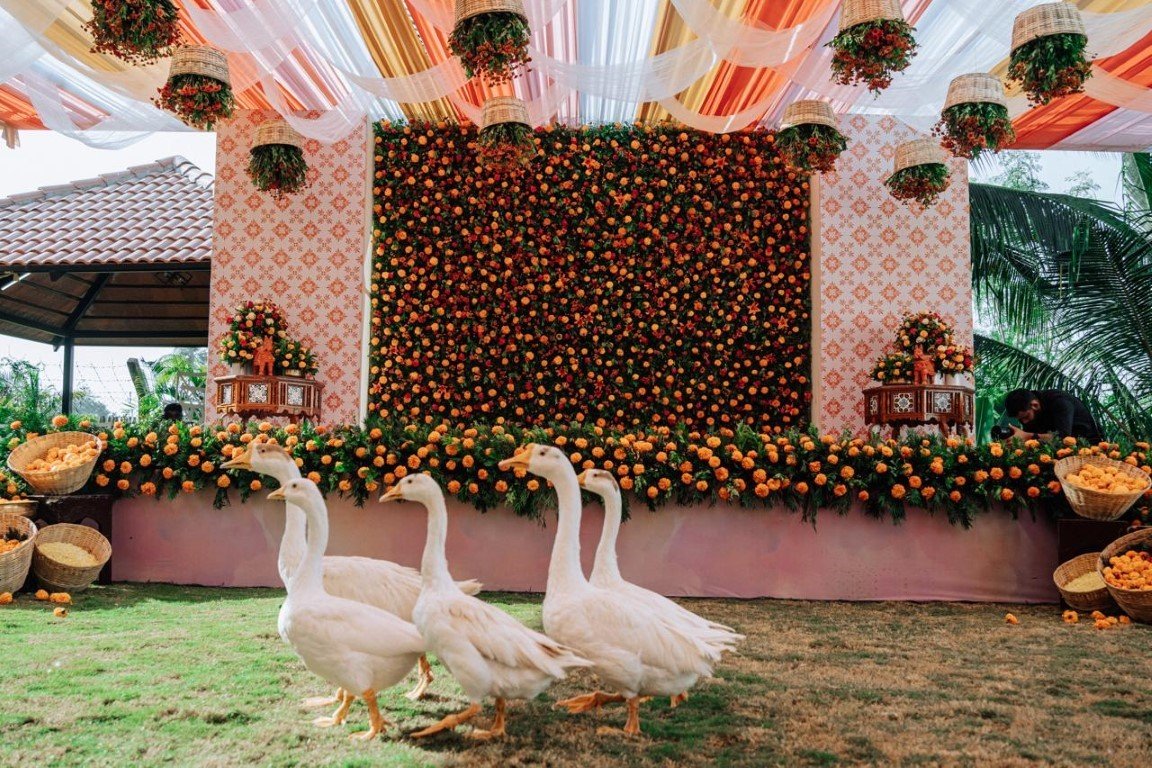 photo_2025-08-12_15-52-05