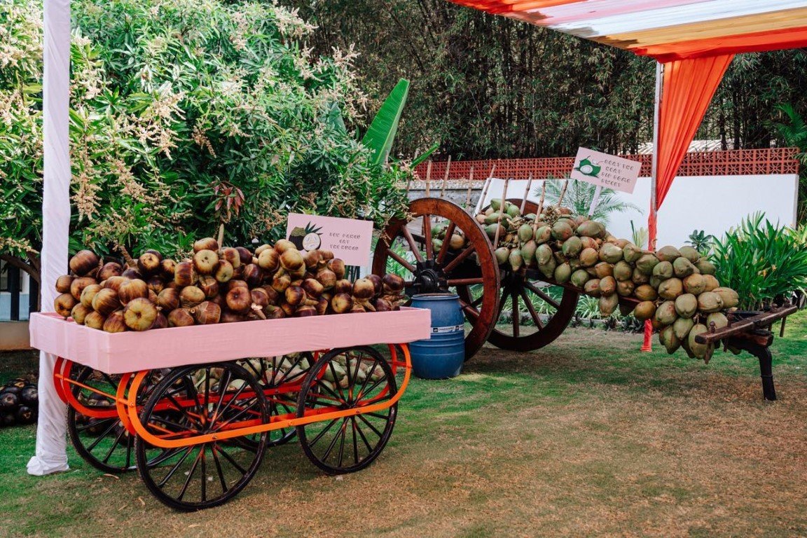 photo_2025-08-12_15-52-15