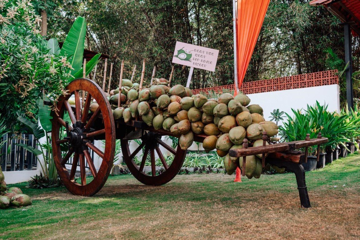 photo_2025-08-12_15-52-18